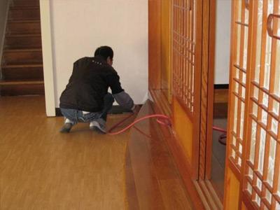 家里有該白蟻怎么辦？